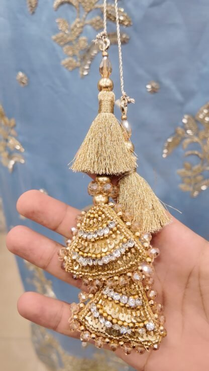Sky Blue Katdana Embellished Sharara Set — image 3
